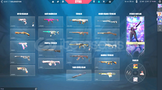 cahmpions setli sırçıçeği setli