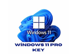 ÇALIŞAN TEK KEY | Windows 10/11 Pro Key