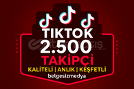 ⭐ [ÇALIŞAN] TİKTOK 2500 TAKİPÇİ – KALİTELİ DATA