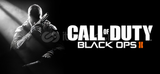 Call Of Duty Black Ops 2 + Garantili