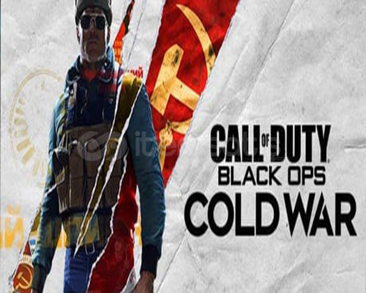Call of Duty: Black Ops Cold War  Call of Duty: Black Ops Cold War