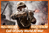 Call Of Duty World At War