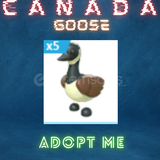 Canada Goose Adopt Me