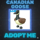 Canadian Goose Adopt Me