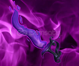 Candleflame [SİTEDEKİ EN UCUZU]