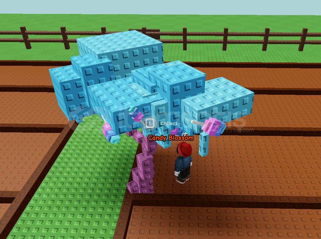 CANDY BLOSSOM TREELİ VIP HESAPLAR CANDY BLOSSOM TREELİ VIP HESAPLAR