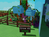 ⭐CANDY BLOSSOMLU HESAP | GROW A GARDEN ⭐