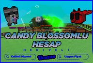 CANDY BLOSSOMLU HESAP + RACCOON + DİSCO BEE