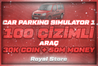 CAR PARKİNG 100 ÇİZİMLİ/DESENLİ HESAP