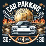 Car Parking 100 SKIN Hesap