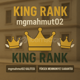 CAR PARKİNG KİNG RANK