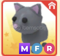 Cat Kedi Common Mega Neon, Fly, Ride Cat Kedi Common Mega Neon, Fly, Ride