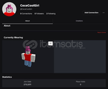 CeceCoolGirl 2011 Kurulum Hesap