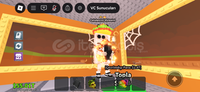  Celularcini Viciosini 225M