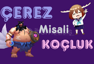 Çerez Misali Koçluk