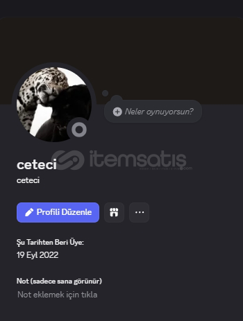 ceteci satılık ceteci satılık