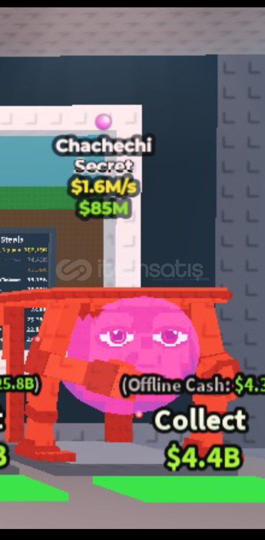 Chachechi Chachechi