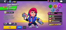 CHALLENGER COLTLU 33K 72 KARAkTER PREMİUM HESAP