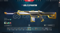 ✨Champ 2025 Vandal / Asil Phantom✨