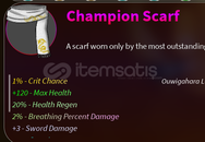 ⭐Champion Scarf⭐