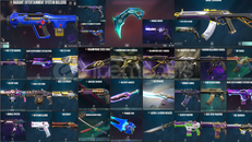 CHAMPİONS 2021 VANDAL + ARCANE SHERİFF + VCT 25