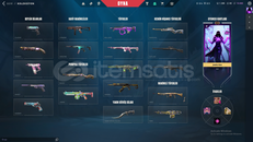 CHAMPIONS 2023+1388 VP Lİ DOLU