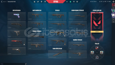 CHAMPİONS 2024 PHANTOMLU HESAP