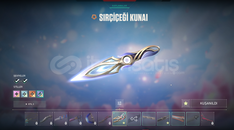 CHAMPİONS 2025 SETLİ 31K VP HARCANMIŞ HESAP