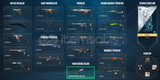 champions 21-22-23 vct 25 karambit setli immo 1