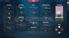 Champions Vandallı Dolu Dolu Hesap