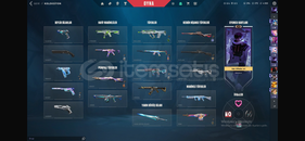 Championslu Bol Skinli Efsane Hesap