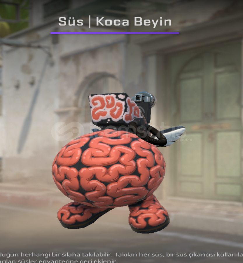 Charm | Big Brain Charm | Big Brain