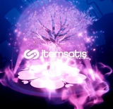 Cherry Blossom Tree | Blade Ball