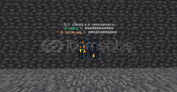 Chicken SMP 1x iskelet spawneri