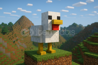 CHİCKEN SMP ELİTRA⭐ | CHİCKENNW