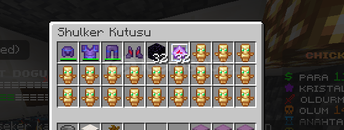 Chicken smp p4 set devamı açıklamadaa