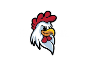 Chickennw SMP ELYTRA | Chicken SMP ELYTRA