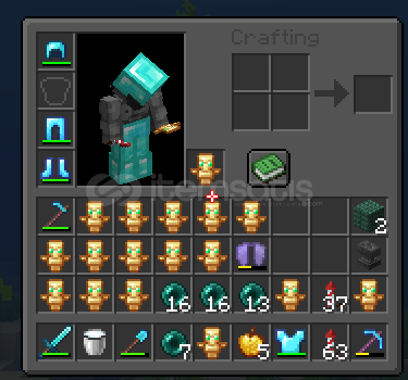 ChickenSmp 1 Elytra İtem ChickenSmp 1 Elytra İtem