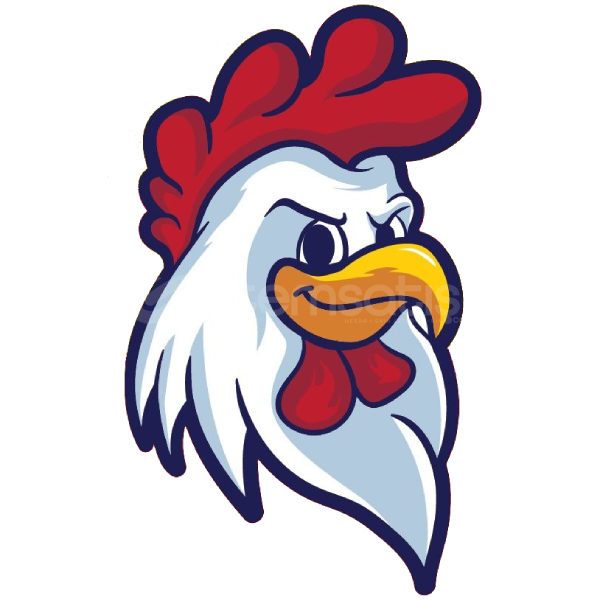 ⭐ChickenSMP 13M PARA ⭐ChickenSMP 13M PARA