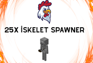 ChickenSMP 25X İskelet Spawner Chicken SMP ChickenSMP 25X İskelet Spawner Chicken SMP