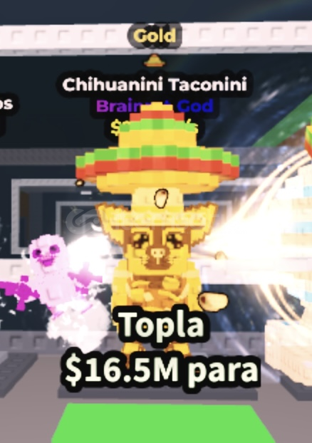 Chihuanini Taconini Chihuanini Taconini