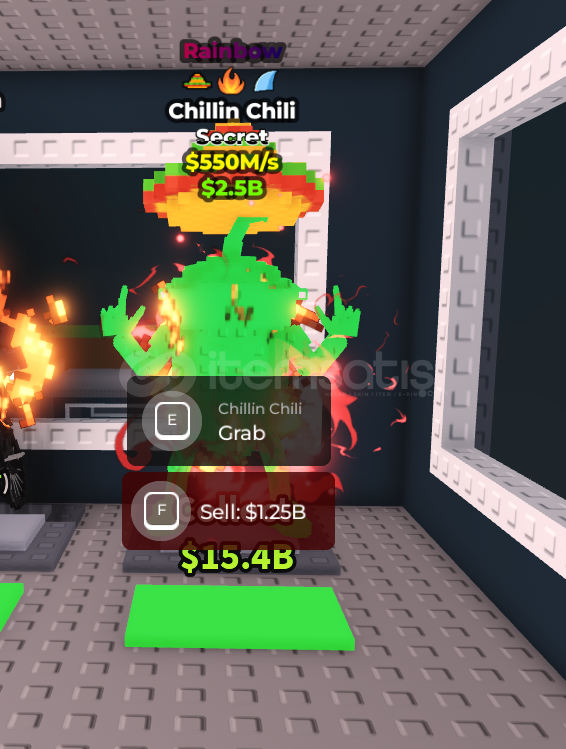 Chillin Chili 550m/s RAİNBOW Chillin Chili 550m/s RAİNBOW