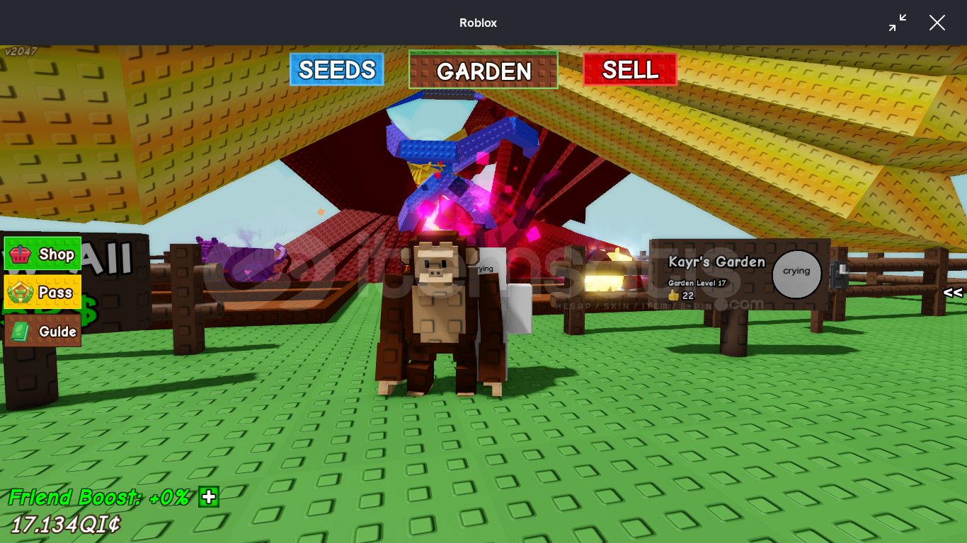 Chimpanzee - Grow A Garden (1 Age , 1.90 kg)