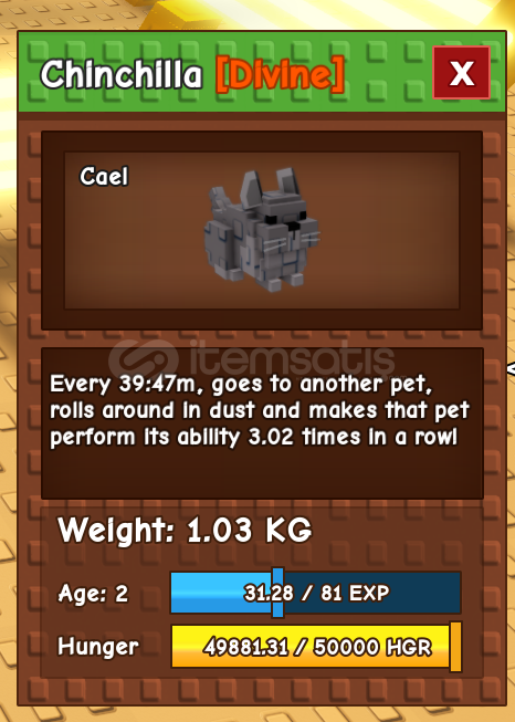 chinchilla ilk çıkarttım en ucuzu!!! chinchilla ilk çıkarttım en ucuzu!!!