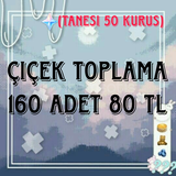 Çiçek toplama 160 adet 80 tl