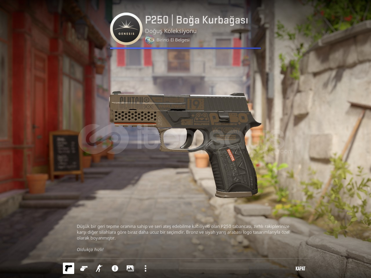 P250 | Bullfrog (Az aşınmış) P250 | Bullfrog (Az aşınmış)
