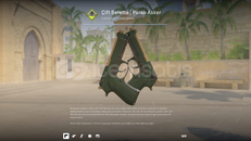 ✨Çift Beretta | Paralı Asker✨