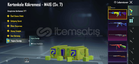 CİFT M4 MAX 67 KOLEKSIYON 43 YB