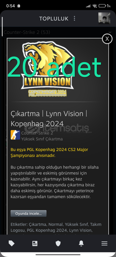 Çıkartma | Lynn Vision | Kopenhag 2024 20 adet Çıkartma | Lynn Vision | Kopenhag 2024 20 adet