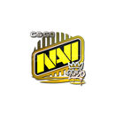 Çıkartma | Natus Vincere | 2020 RMR